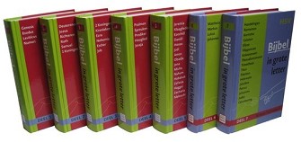 HSV Bijbel Groot letter (7dl)